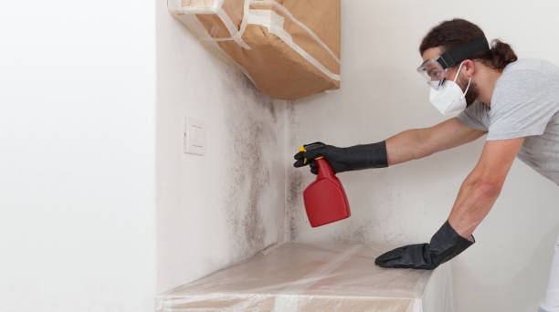 Professional Mold Inspection And Testing technician working in Holtsville, NY